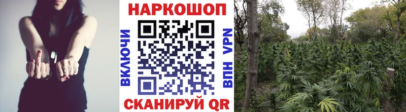 Магазин наркотиков Первоуральск Метадон  АМФ  ГАШИШ  Псилоцибиновые грибы  КОКАИН  Канабис 