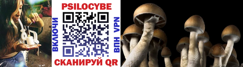Галлюциногенные грибы Magic Shrooms  Первоуральск 